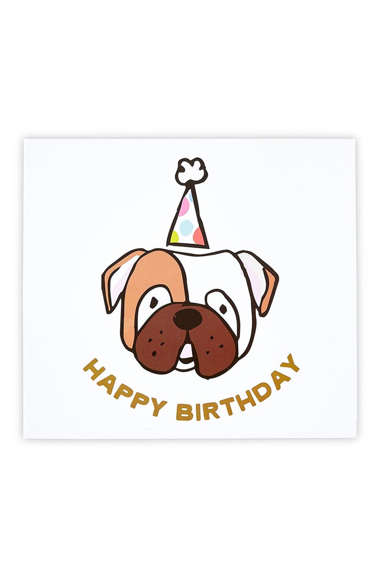 Creative Brands Birthday Dog Kit In No Color