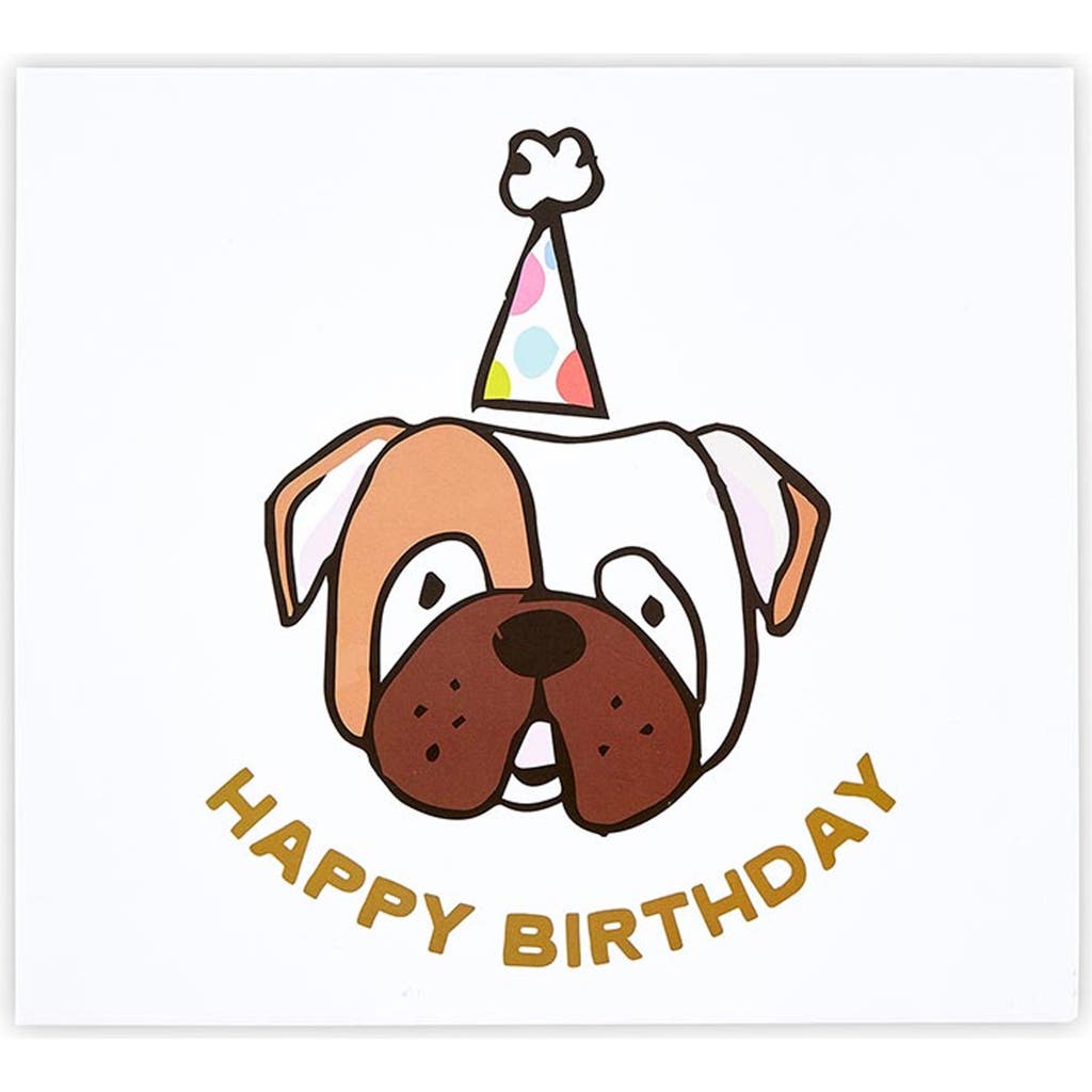 Creative Brands Birthday Dog Kit In No Color