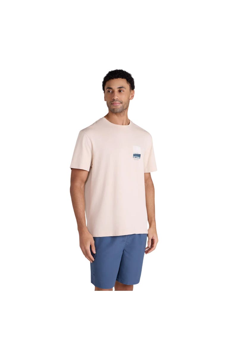 Chase Graphic Relaxed Fit T-Shirt, Main, color, Cream
