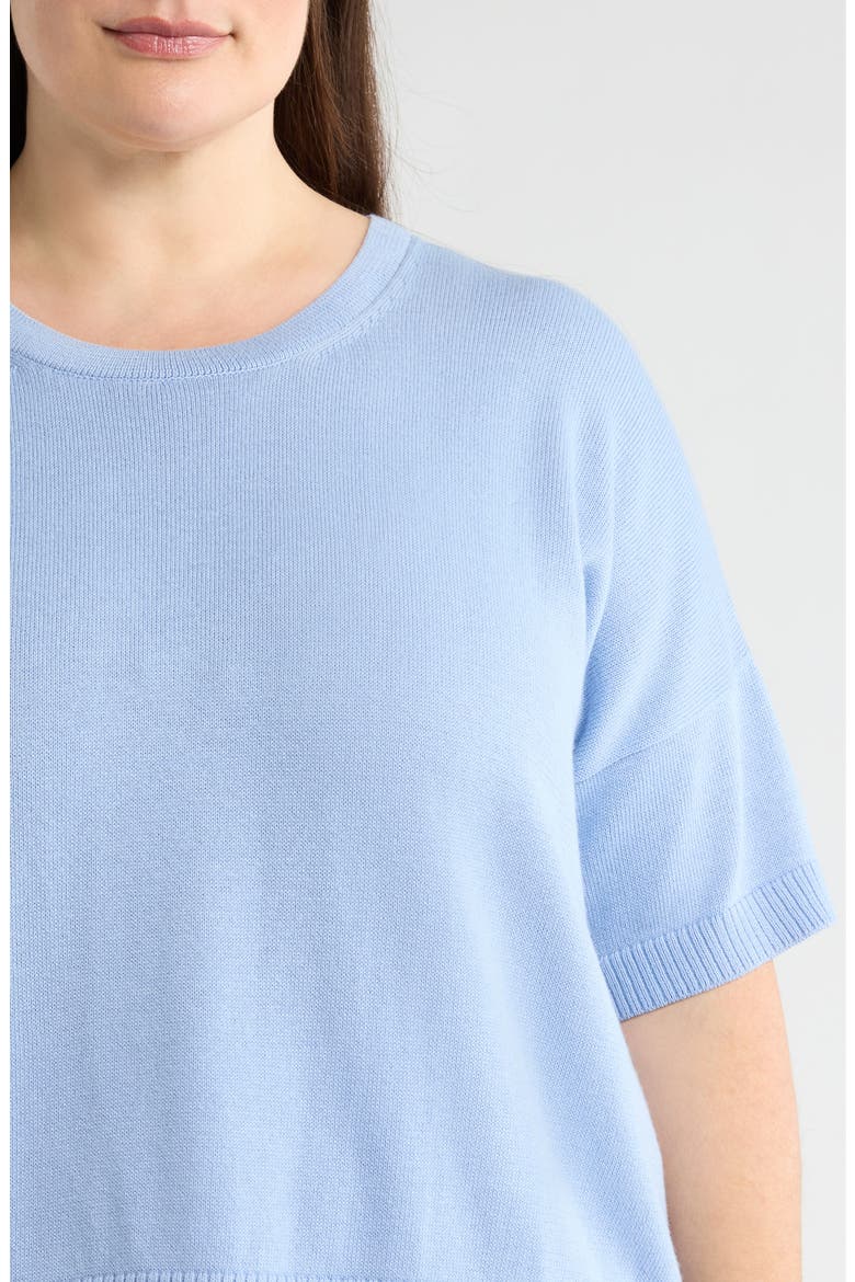 Crew Neck Knit Top, Alternate, color, SKYLIGHT