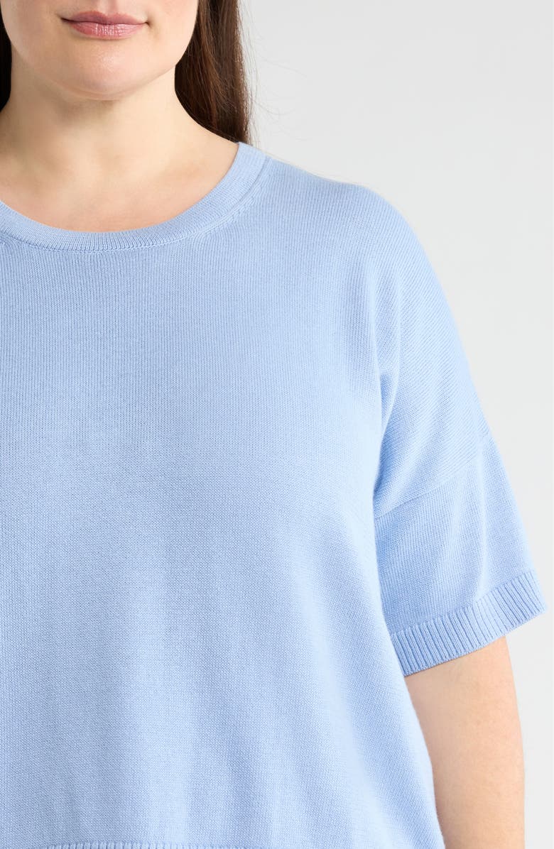 Eileen Fisher Crew Neck Knit Top, Alternate, color, Skylight