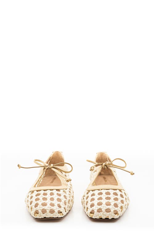 Andrea Gomez Amelia Leather Ballet Flats In Natural Raffia