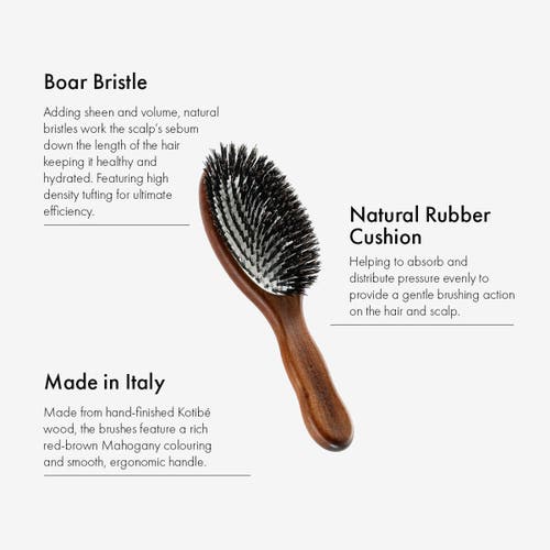 Acca Kappa Classic Oval Brush In Brown