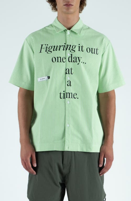 Students Reymon Stripe Short Sleeve Button-up Shirt In Green