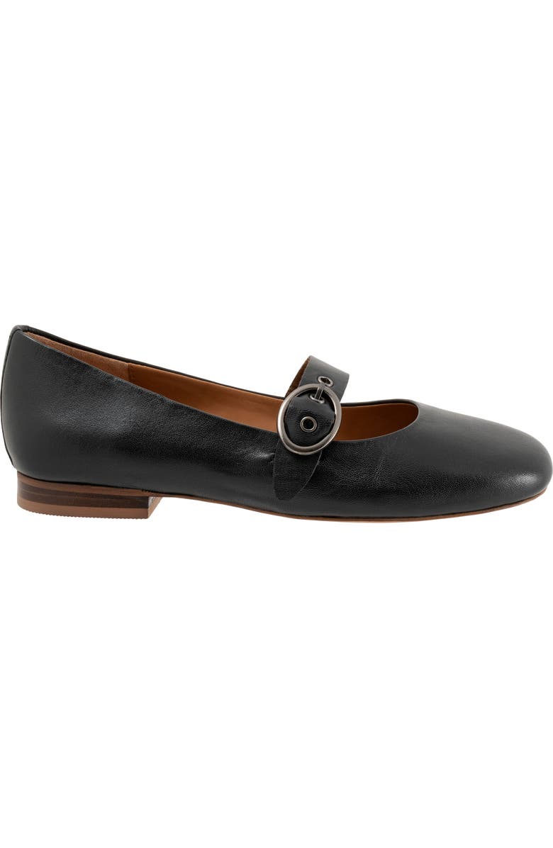 SoftWalk<sup>®</sup> Kassala Mary Jane Flat, Alternate, color, Black