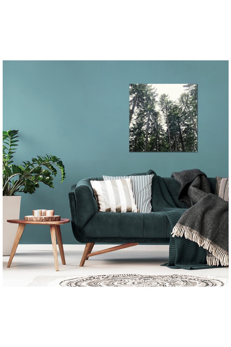 Up In The Woods by Tordis Kayma Canvas Wall Art, Alternate, color, GREEN