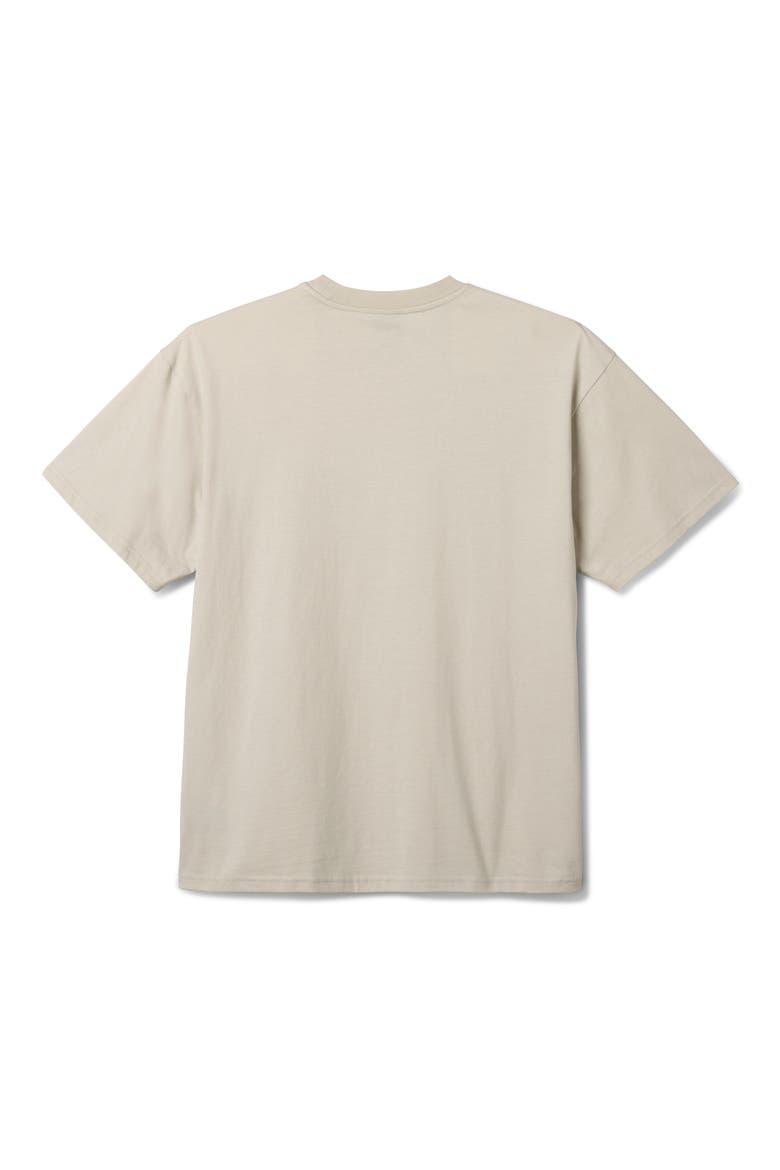 Sea Turtle Boxy Fit Cotton Graphic T-Shirt, Alternate, color, CEMENT