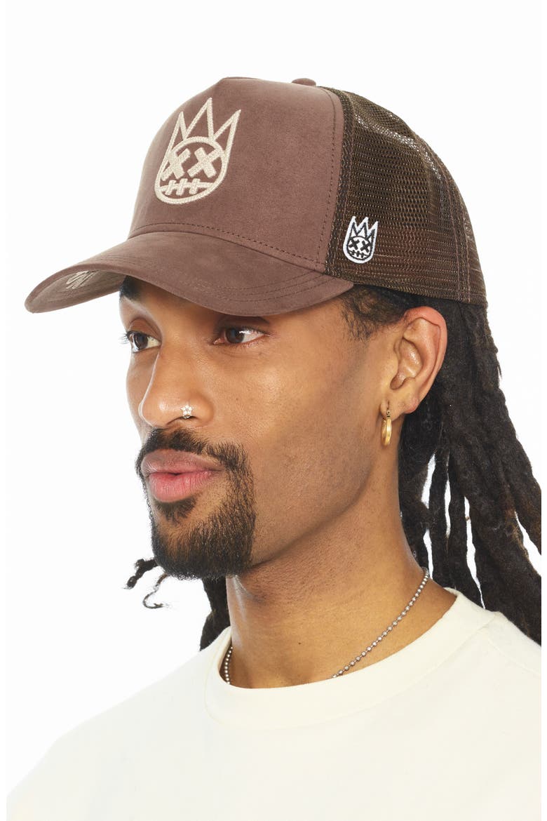 Logo Mesh Back Trucker Baseball Cap, Alternate, color, PINECONE