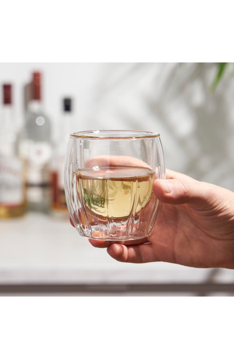Viski Double Walled Spirits Glasses Set of 2, Alternate, color, Clear