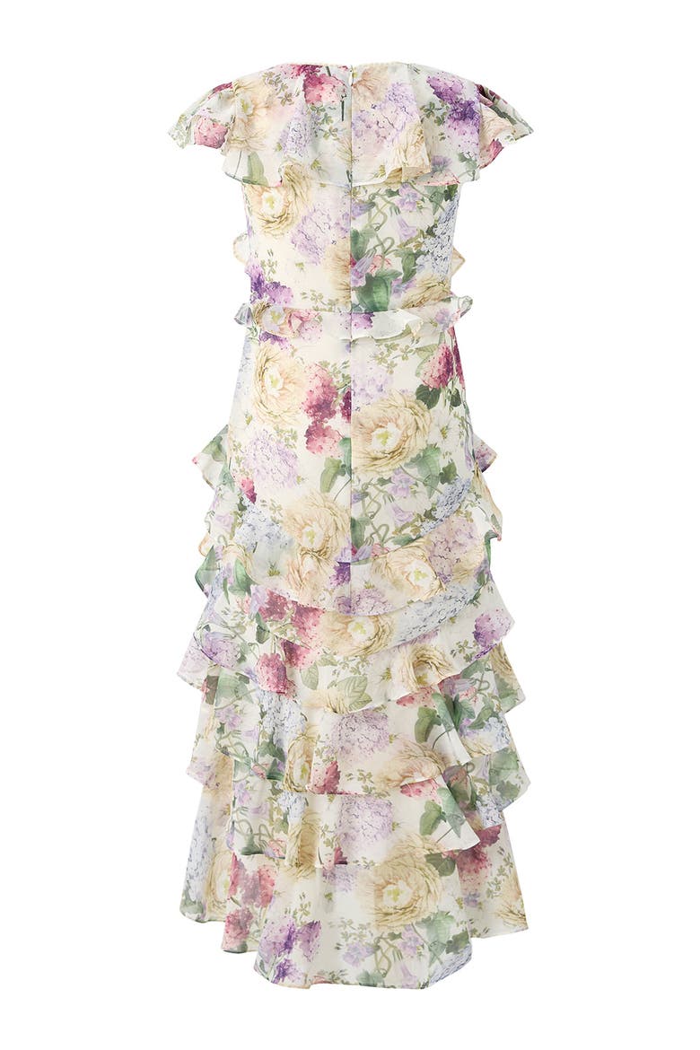 Seraphina Frill Maxi Dress, Alternate, color, Floral