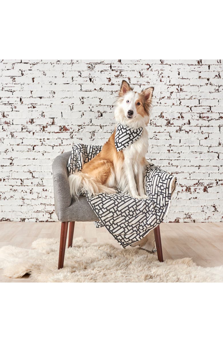 carol & frank Naya Pet Quilt, Alternate, color, Black