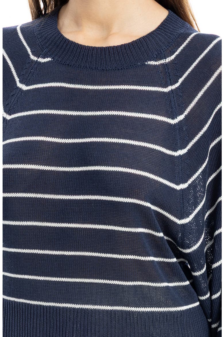 Stripe Raglan Sleeve Sweater, Alternate, color, NAVY/ IVORY STRIPE