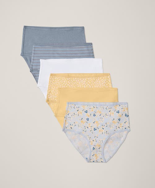 Shop Pact Organic Cotton Everyday High Rise Brief 6-pack