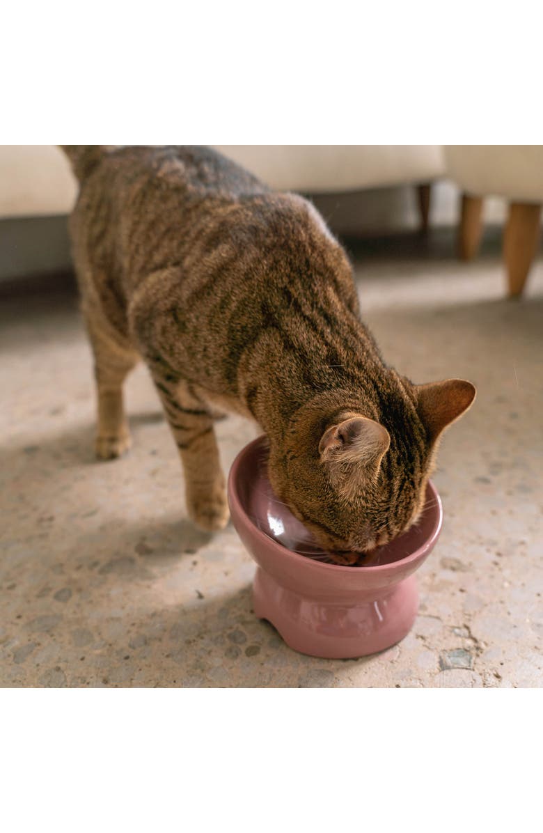 Dexypaws Elevated Ceramic Bowl For Cats 7oz Capacity, Alternate, color, Pink