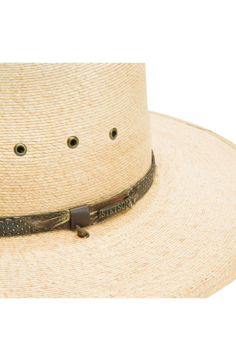 Stetson Cumberland Hat, Alternate, color, Toasted