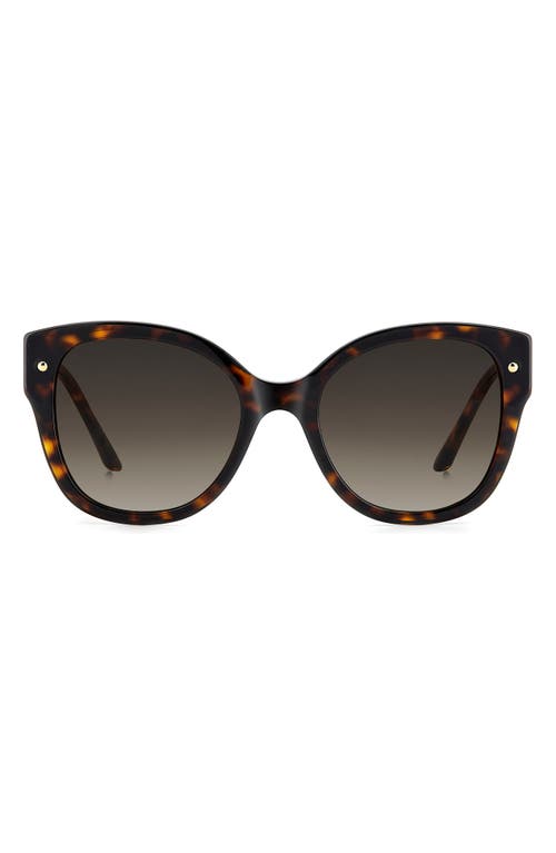 Carolina Herrera 55mm Gradient Butterfly Sunglasses In Havana/brown Sf