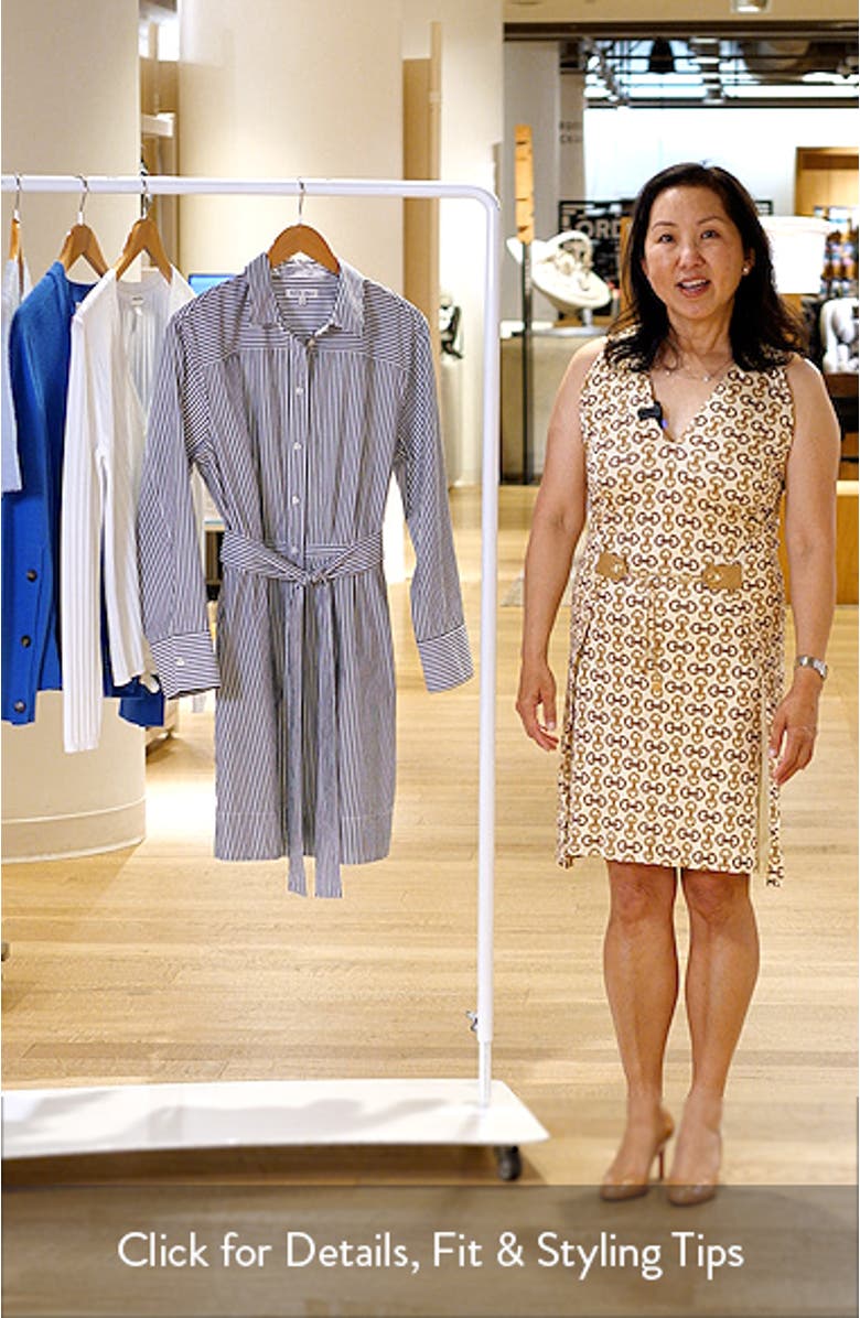 Naomi Stripe Long Sleeve Cotton Shirtdress, sales video thumbnail