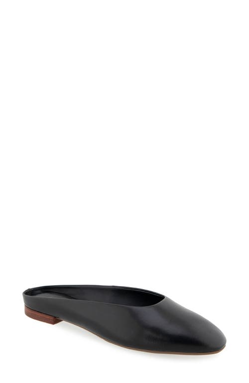 AEROSOLES AEROSOLES AMARA MULE