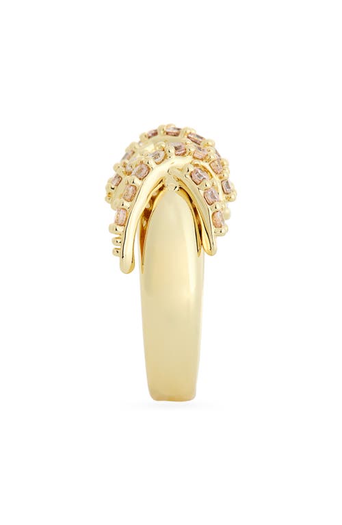 Covet Twisted Dome Ring In Gold
