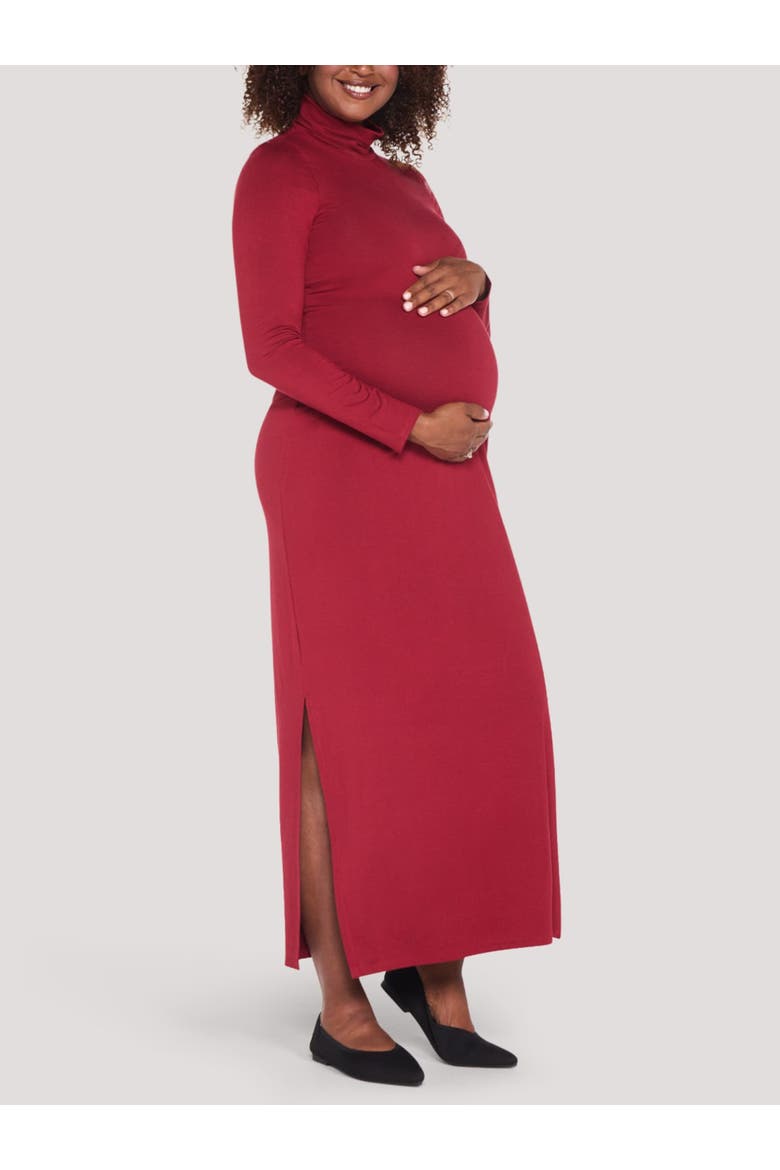 Turtleneck Long Sleeve Knit Maxi Dress, Alternate, color, Biking Red