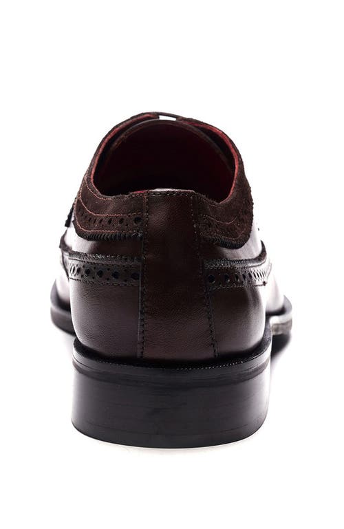 Carlos Santana Felix Wingtip