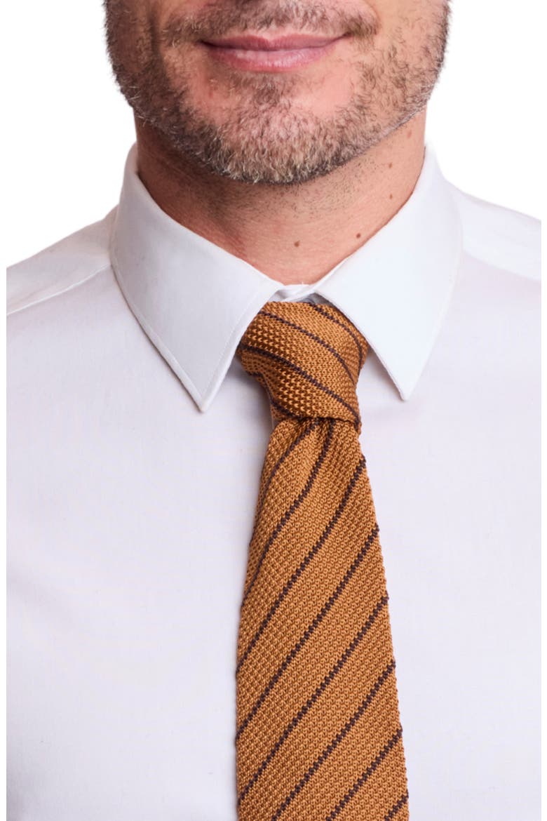 Stanley Striped Knit Tie, Alternate, color, CARAMEL BROWN STRIPE