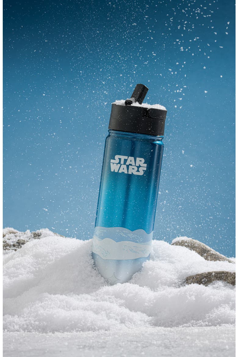 Star Wars Hoth 22-Ounce Stainless Steel Water Bottle, Alternate, color, BLUE