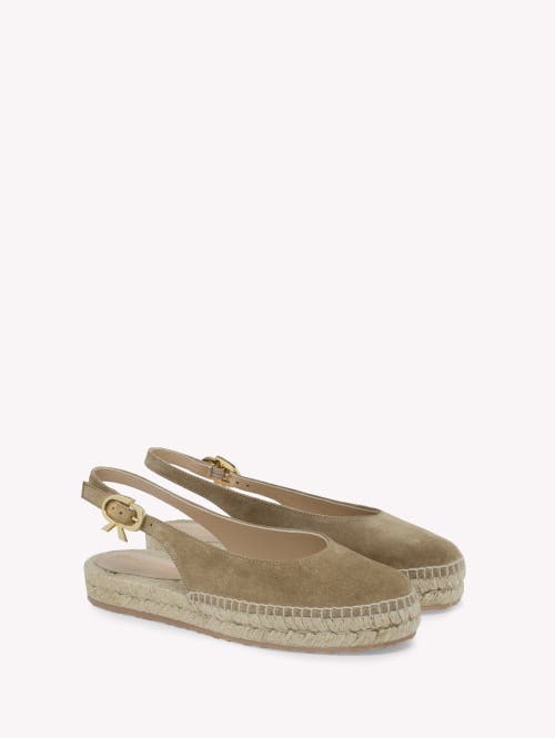 Gianvito Rossi Paz Suede Slingback Espadrilles