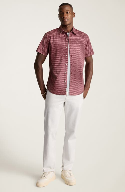 Bonobos Riviera Point Slim Fit Floral Short Sleeve Cotton Button-up Shirt In Daisy Dazey