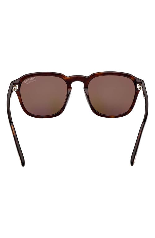 Tom Ford Avery 52mm Polarized Round Sunglasses