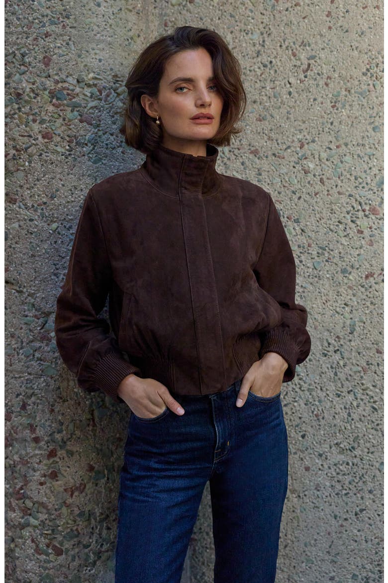 Funnel Neck Suede Bomber Jacket, Alternate, color, BROWN COFFEE