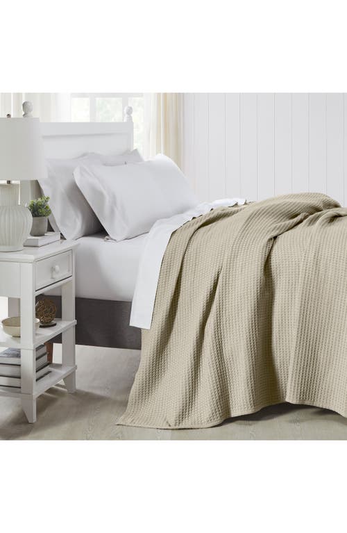 Modern Threads Cotton Waffle Blanket In Oatmeal