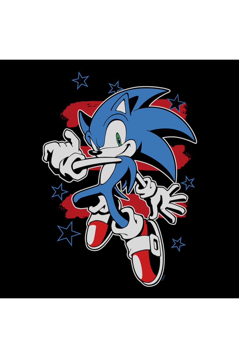 Boys Sonic the Hedgehog Stars and Stripes Pose T Shirt, Alternate, color, Black