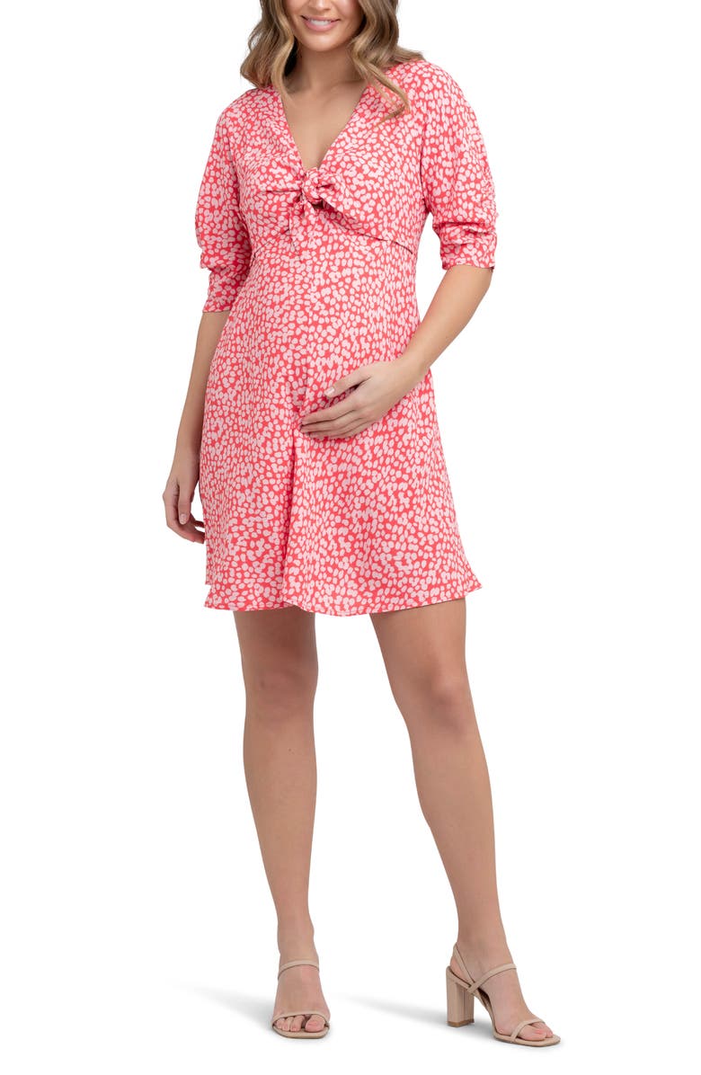 Ripe Maternity Harriet Tie Front Maternity/Nursing Dress, Main, color, 