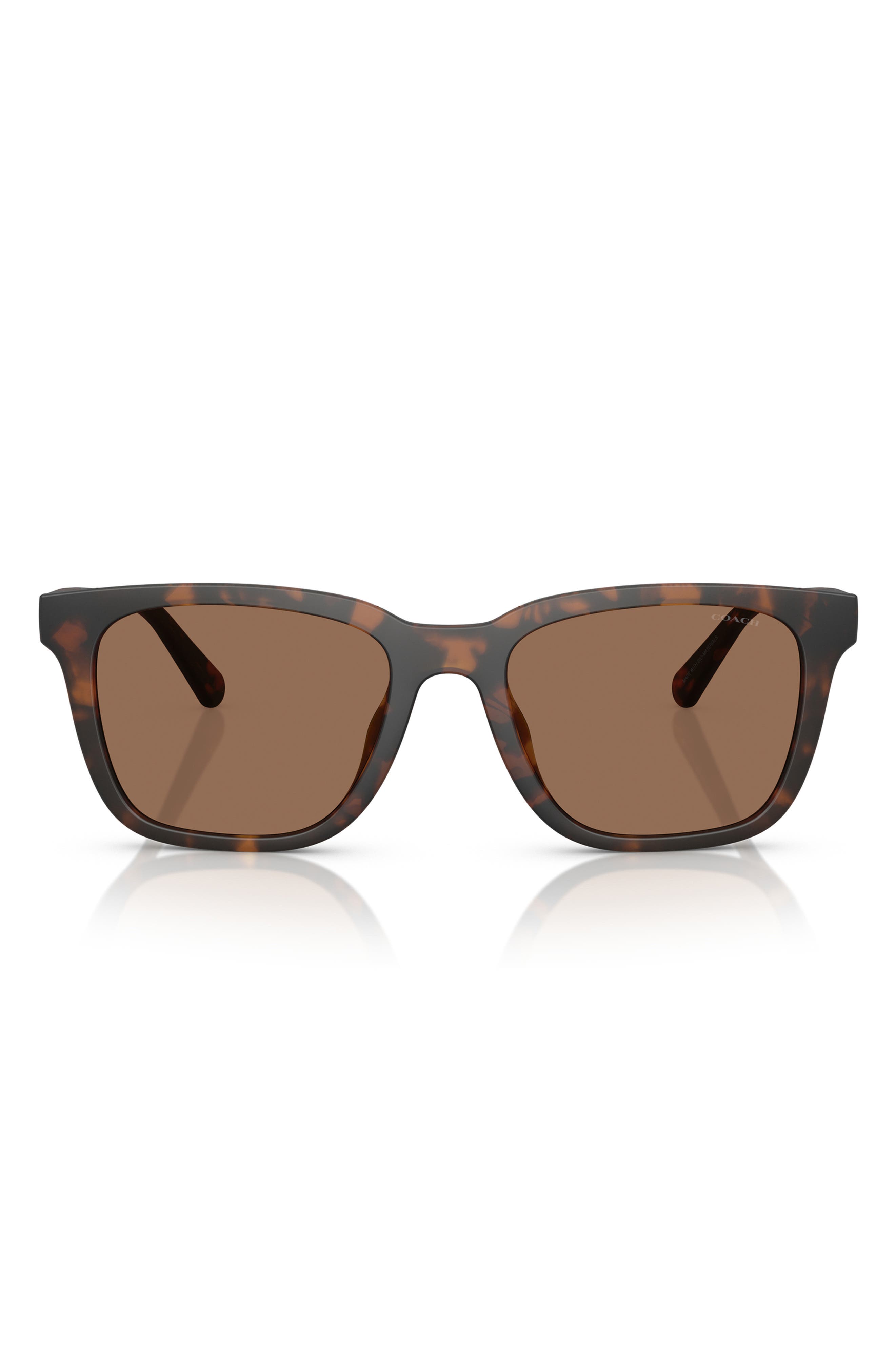 selected MATTE TORTOISE / BROWN SOLID