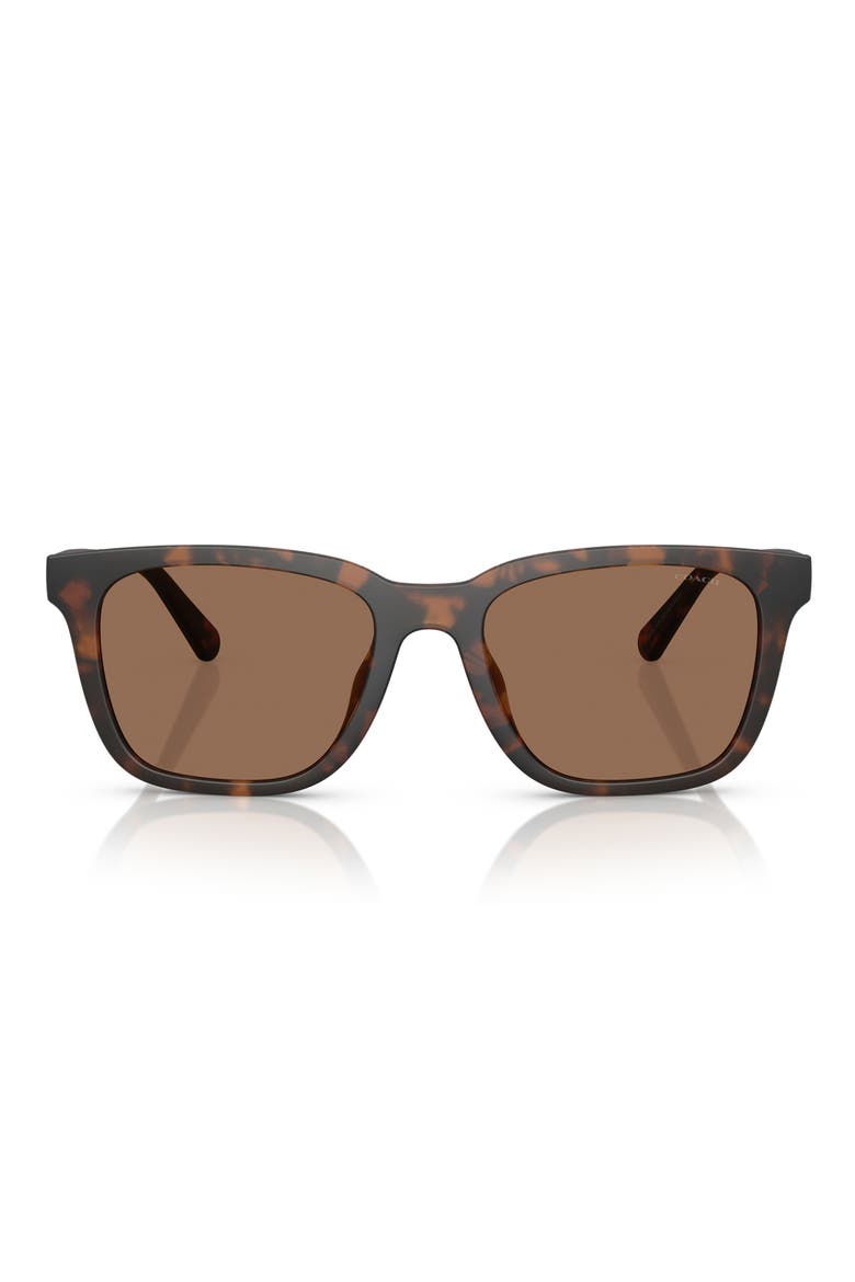54mm Square Sunglasses, Main, color, MATTE TORTOISE / BROWN SOLID