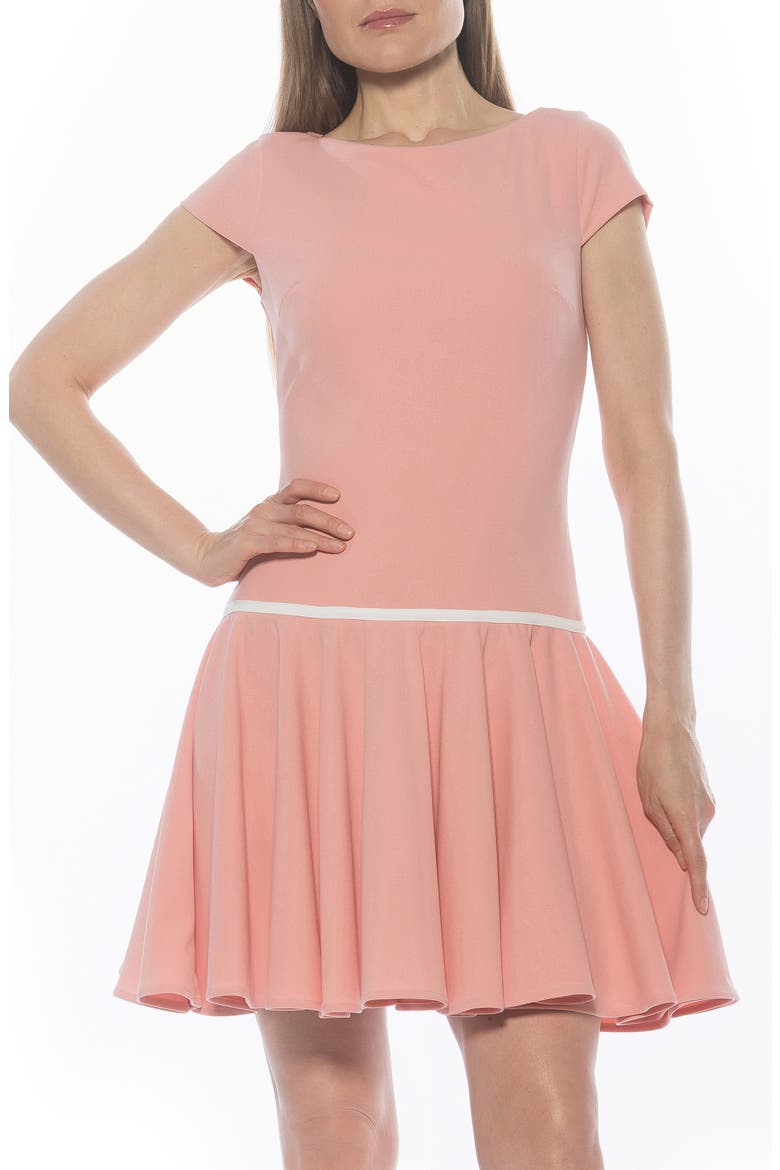 Drop Waist Dress, Alternate, color, BLUSH