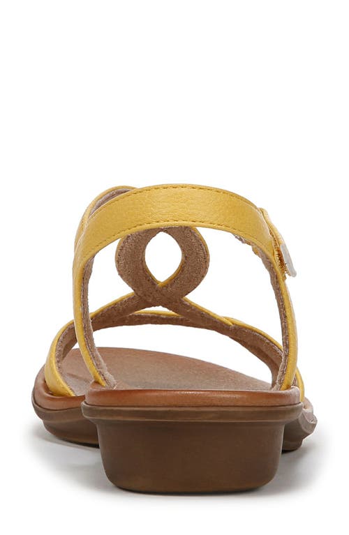 SOUL NATURALIZER SOUL NATURALIZER SOLO SANDAL