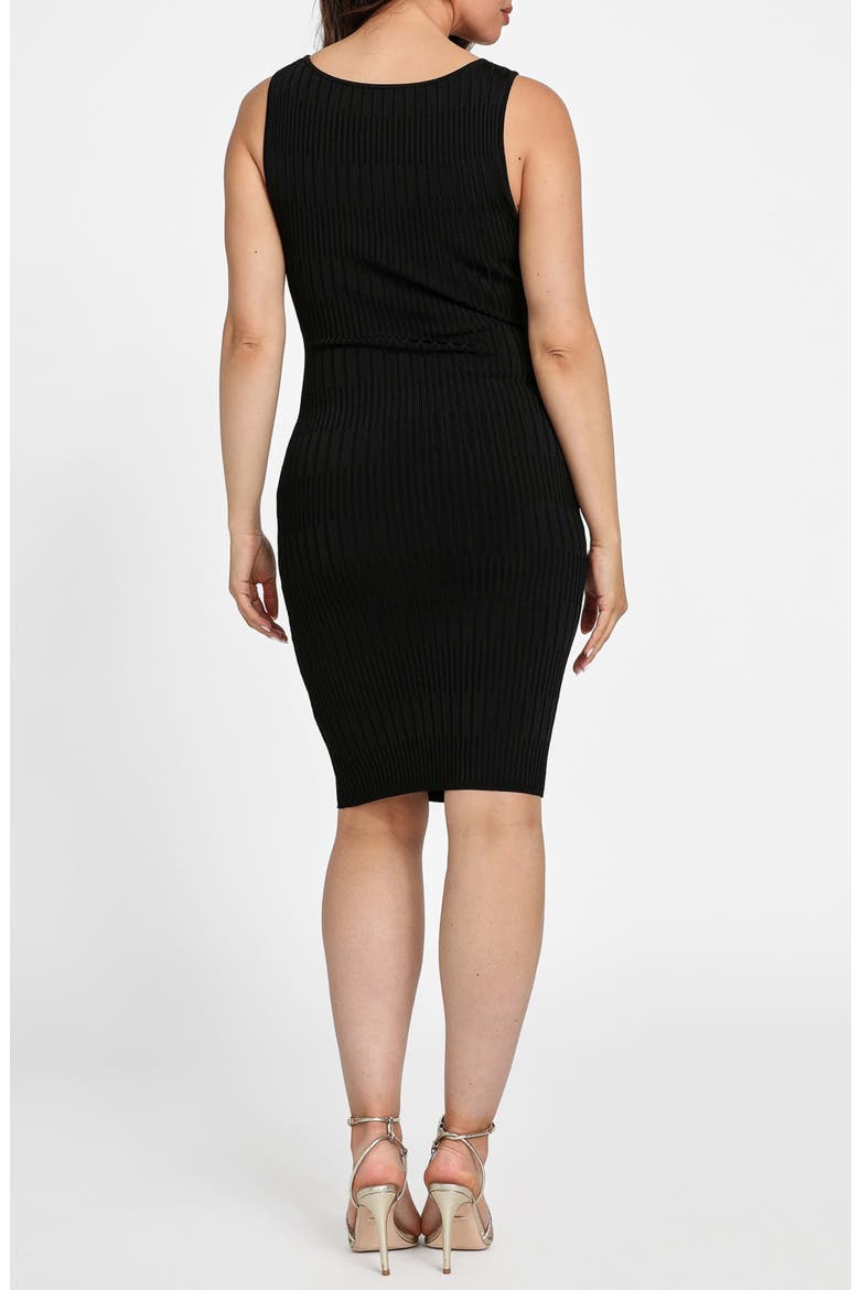 Janet Sleeveless Rib Sweater Dress, Alternate, color, JET BLACK