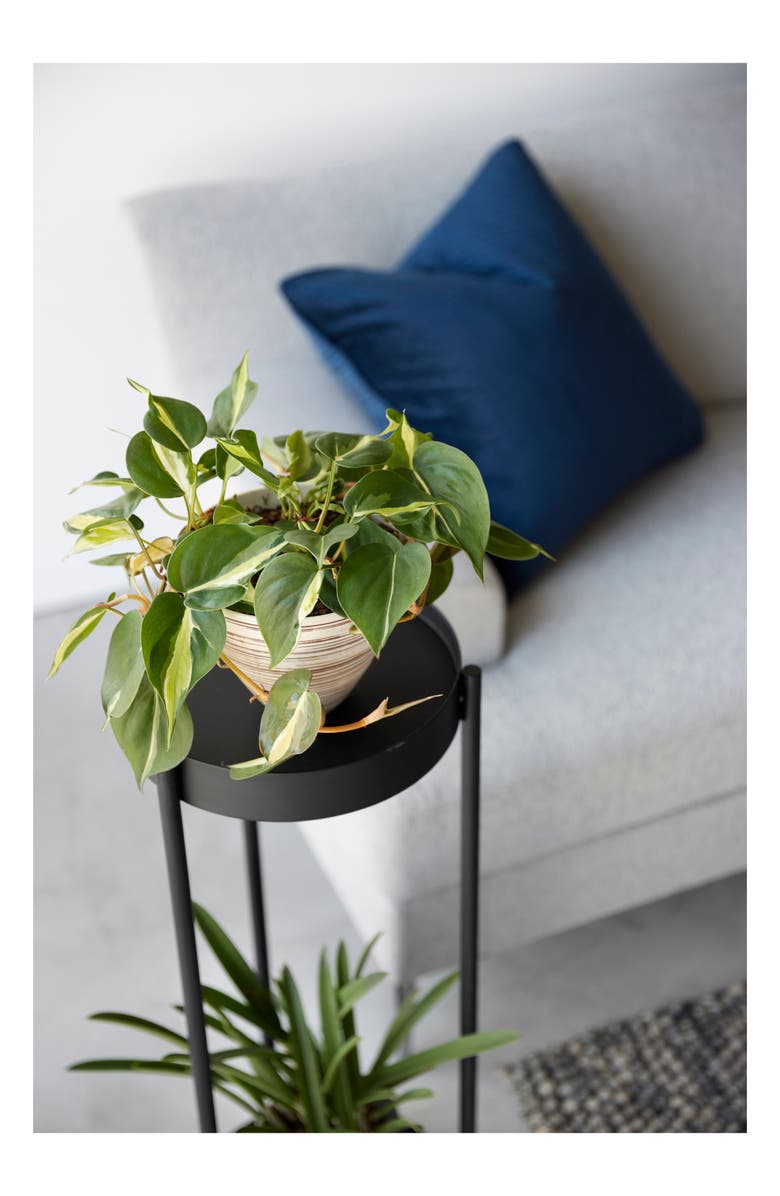 Yamazaki Rolling Two-Tier Plant Stand, Alternate, color, Black