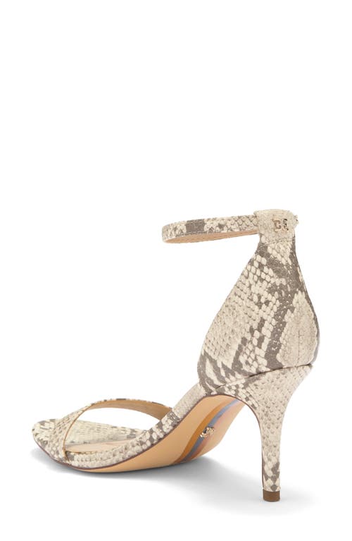 Sam Edelman Patti Ankle Strap Sandal In Roccia