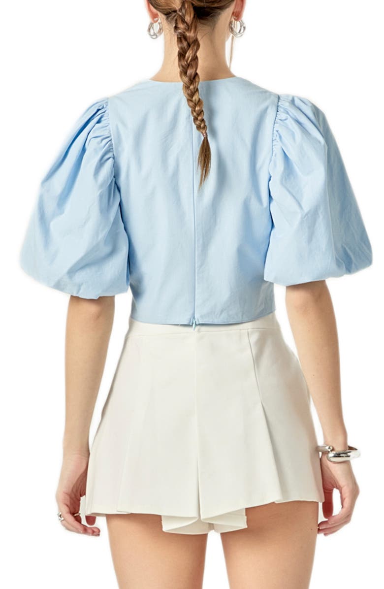 Endless Rose V-Neck Crop Top, Alternate, color, Powder Blue