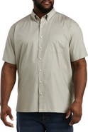 B+T Essentials Big & Tall Poplin Sport Shirt