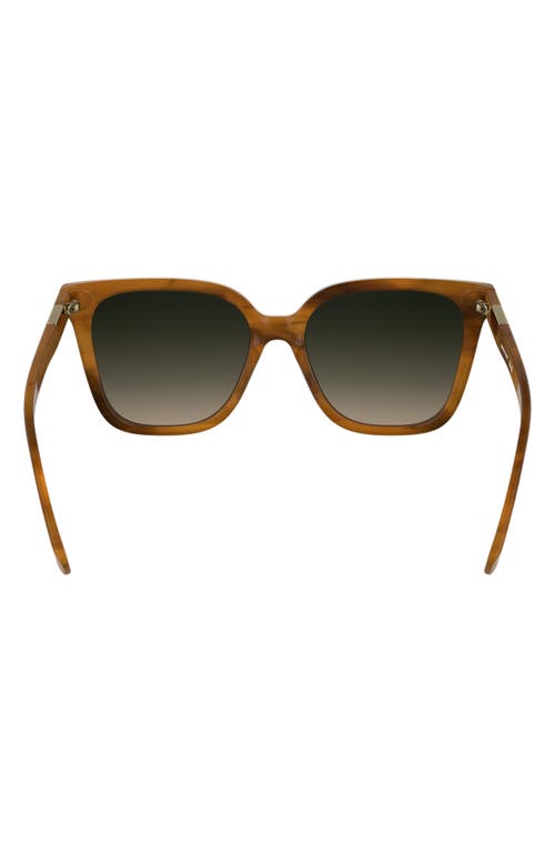 Longchamp Le Pliage 55mm Gradient Butterfly Sunglasses In Striped Brown