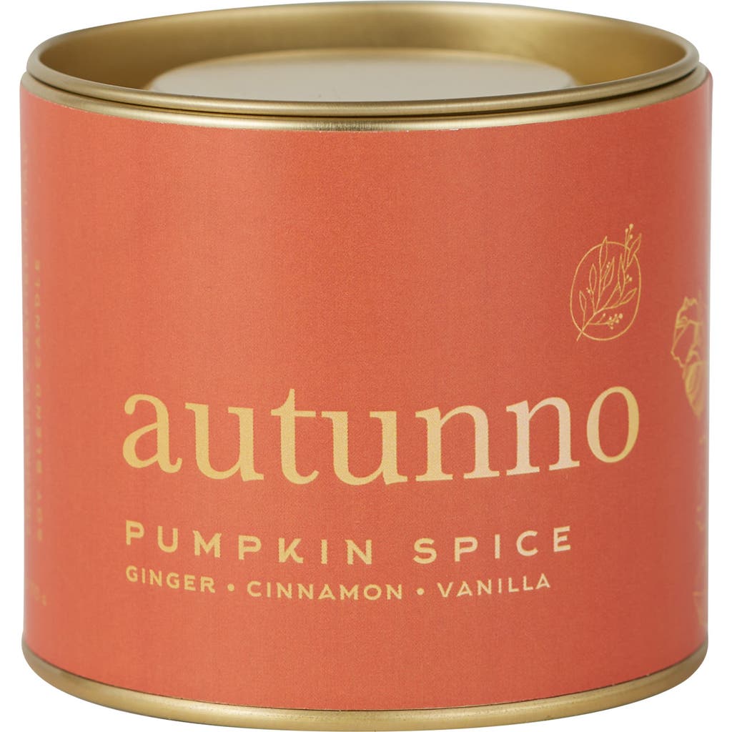 Via Mercato Autunno Pumpkin Spice Candle In Multi