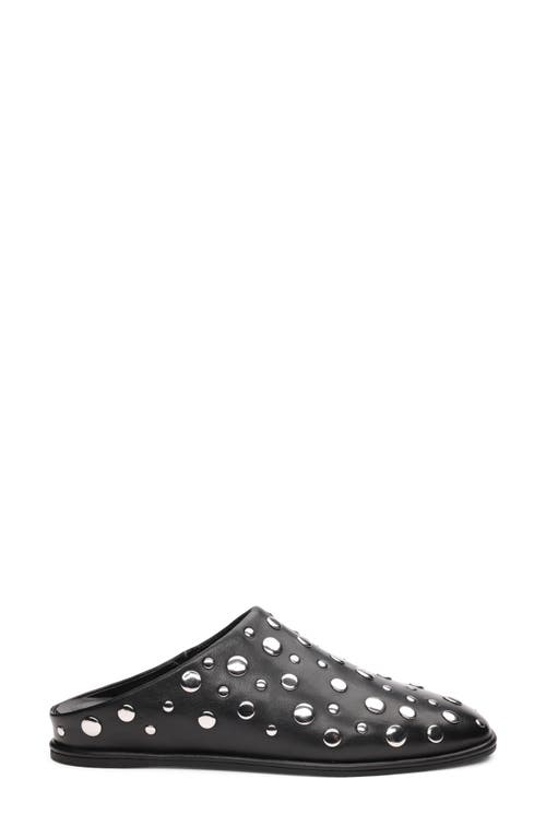 Sanctuary Bari Stud Mule In Multi