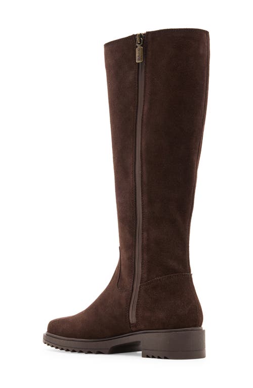 Blondo Ciana Waterproof Knee High Riding Boot In Brown