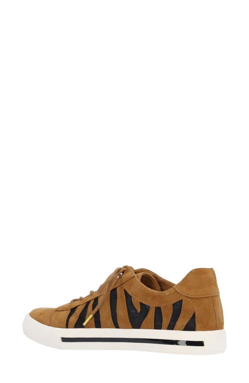 L'amour Des Pieds Keaton Mesh Cutout Platform Sneaker In Coffee/black