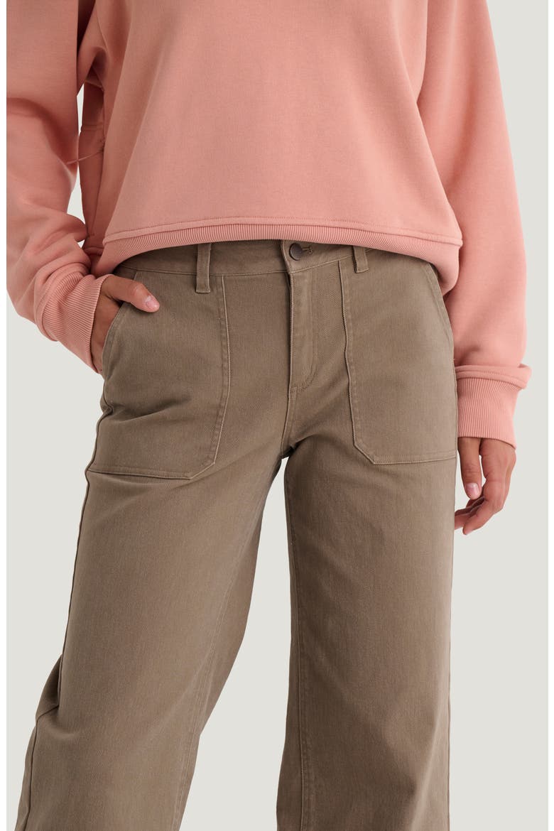 Wide Leg Stretch Cotton Pants, Alternate, color, FOSSIL