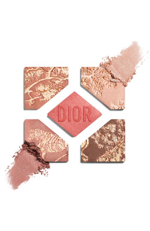 Dior 'show 5 Couleurs Limited Edition 5 Color Eyeshadow Palette